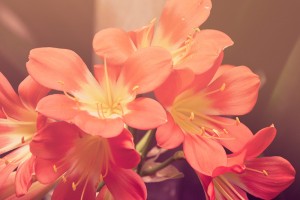 「地味につらい…！」秋の花粉症で注意すべき点とは…