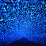 日本一のイルミネーションはどこ？