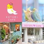 かわいいだけじゃない、スイーツも本格派！「ことりカフェ」関西地区にオープン！