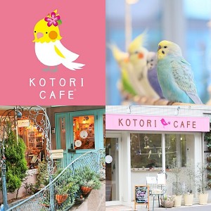 かわいいだけじゃない、スイーツも本格派！「ことりカフェ」関西地区にオープン！
