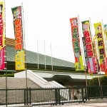 人気力士TOP3も発表！相撲女子＝スー女　入門ガイド