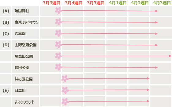 花見スケジュール