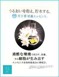 月下香01