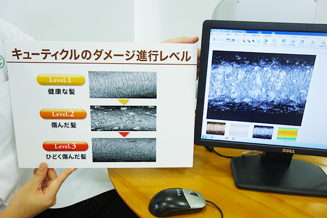 キューティクルのダメージ信仰レベル