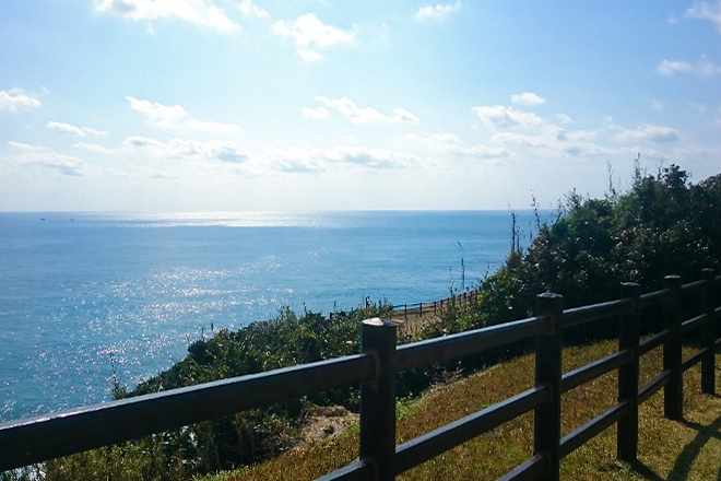 門倉岬