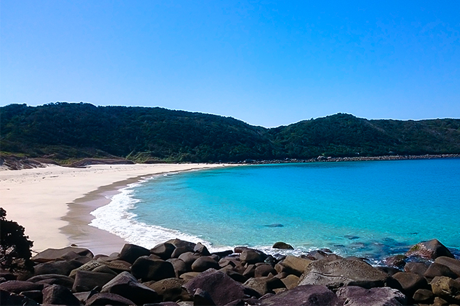 白い砂浜と青い海