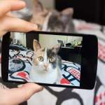 最強の癒し！かわいい動物に出会える動画10選