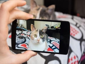 最強の癒し！かわいい動物に出会える動画10選