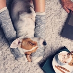 食べて、もっとキレイになる！残業女子のための夜ごはんレシピ9選