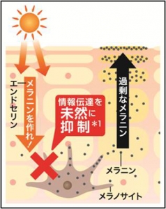 【使ってみた】『ホワイトプロフェッショナル美白美容液ET』でシミ・ソバカスを未然に防ぐ！