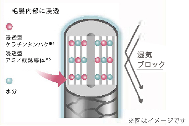 図