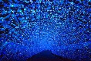 日本一のイルミネーションはどこ？
