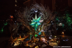 今話題のイルミネーションスポット♡流星と光が連動する「NIHOMBASHI-星降ル森-」って？