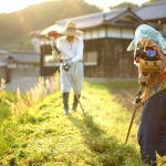 よくわからない人も今年こそ！カンタンふるさと納税