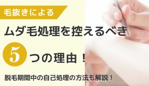 毛抜きによるムダ毛処理を控えるべき5つの理由！　脱毛期間中の自己処理の方法や効果的に脱毛をするポイントについて解説
