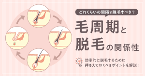 毛周期に合わせて効率的に脱毛しよう！箇所別の毛周期の目安や脱毛間隔を紹介